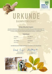 Geschenkidee Naturliebhaber Baumpatenschaft Urkunde